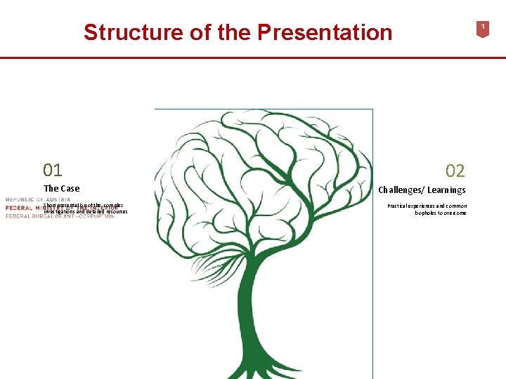 Structure of the Presentation 01 The Case Short presentation of the complex investigations and