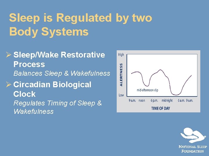 Sleep is Regulated by two Body Systems Ø Sleep/Wake Restorative Process Balances Sleep &