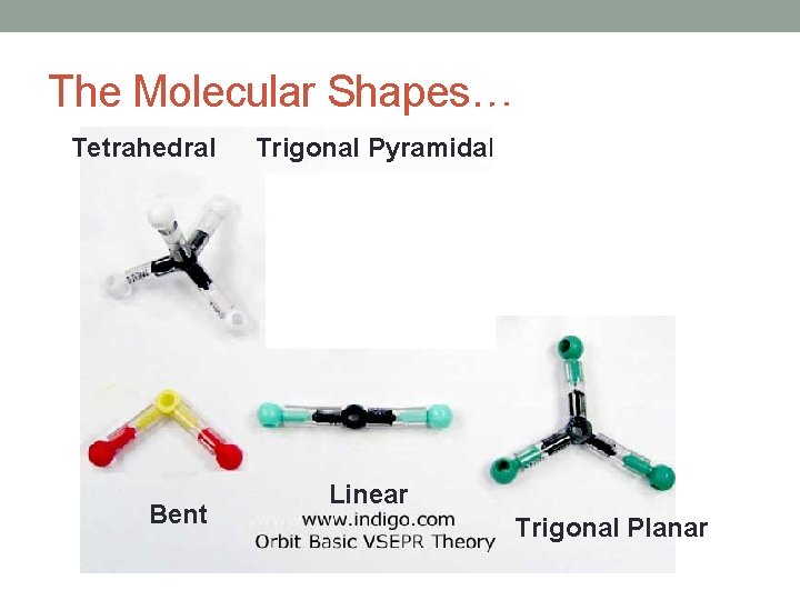 The Molecular Shapes… Tetrahedral Bent Trigonal Pyramidal Linear Trigonal Planar 