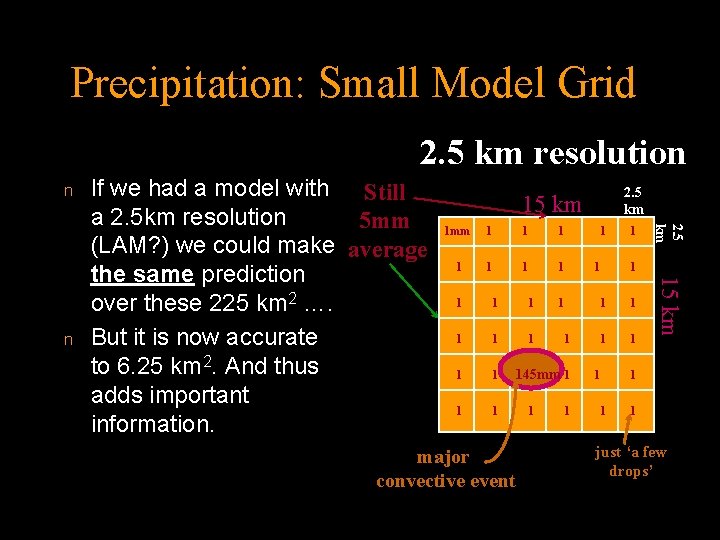 Precipitation: Small Model Grid 2. 5 km resolution n 2. 5 km 1 mm