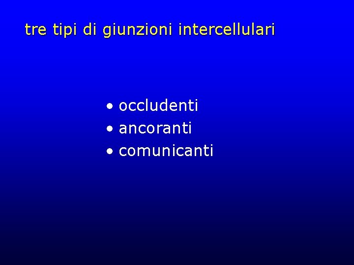 tre tipi di giunzioni intercellulari • occludenti • ancoranti • comunicanti 