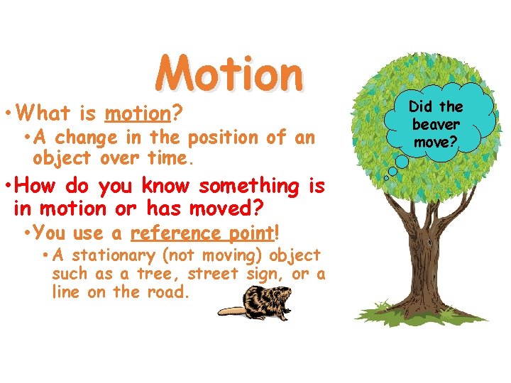 Motion • What is motion? • A change in the position of an object