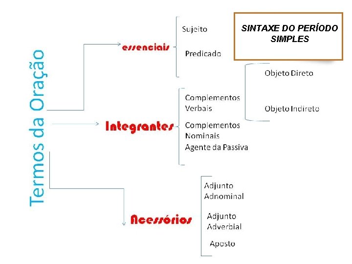 SINTAXE DO PERÍODO SIMPLES 