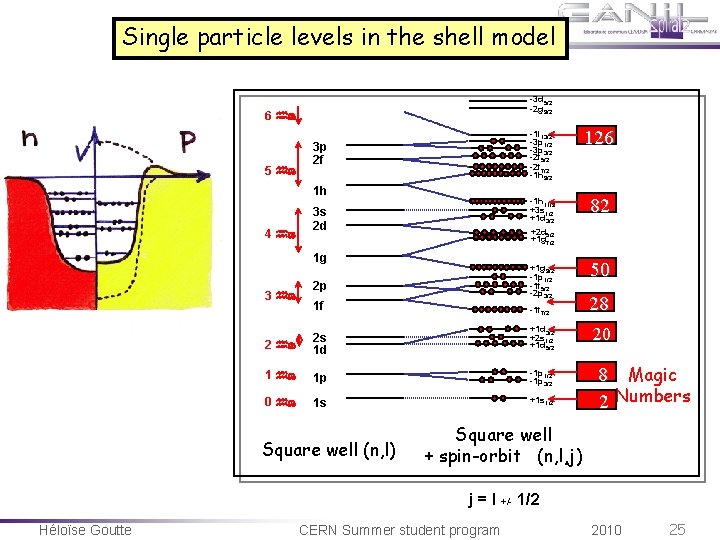Single particle levels in the shell model -3 d 5/2 -2 g 9/2 6