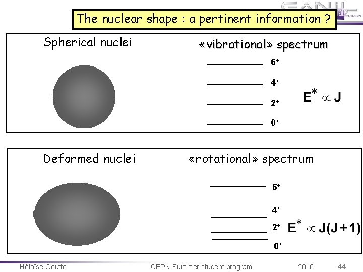 The nuclear shape : a pertinent information ? Spherical nuclei «vibrational» spectrum 6+ 4+