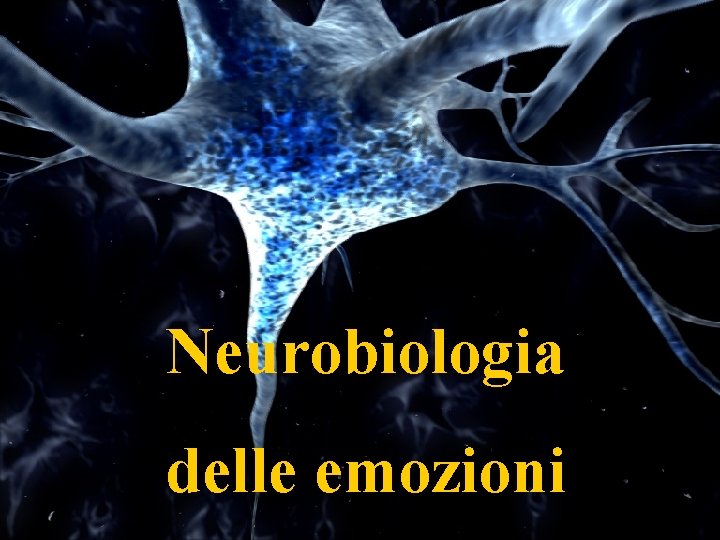 Neurobiologia delle emozioni 