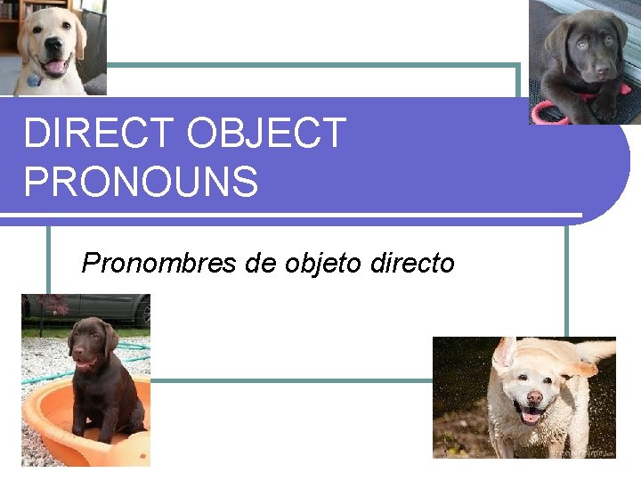 DIRECT OBJECT PRONOUNS Pronombres de objeto directo 