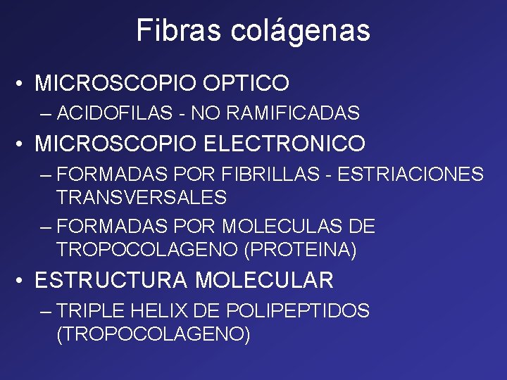 Fibras colágenas • MICROSCOPIO OPTICO – ACIDOFILAS - NO RAMIFICADAS • MICROSCOPIO ELECTRONICO – Fibras colágenas • MICROSCOPIO OPTICO – ACIDOFILAS - NO RAMIFICADAS • MICROSCOPIO ELECTRONICO –