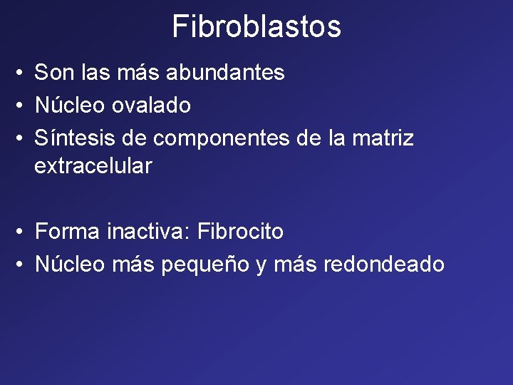Fibroblastos • Son las más abundantes • Núcleo ovalado • Síntesis de componentes de Fibroblastos • Son las más abundantes • Núcleo ovalado • Síntesis de componentes de