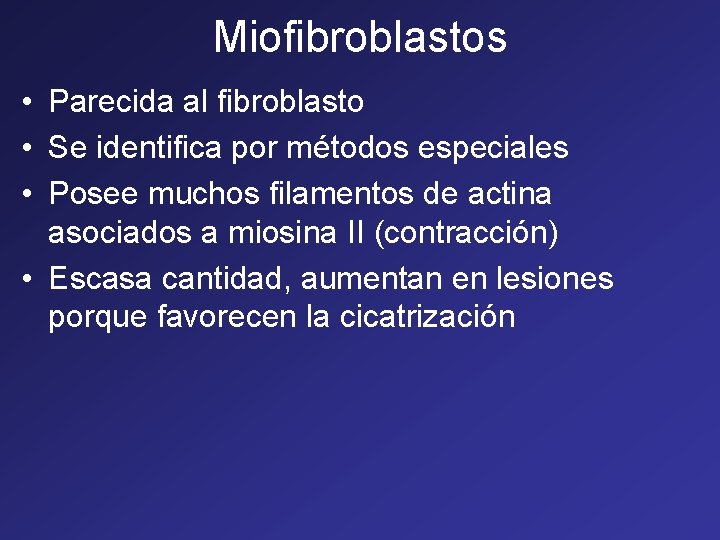 Miofibroblastos • Parecida al fibroblasto • Se identifica por métodos especiales • Posee muchos Miofibroblastos • Parecida al fibroblasto • Se identifica por métodos especiales • Posee muchos