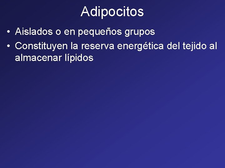 Adipocitos • Aislados o en pequeños grupos • Constituyen la reserva energética del tejido Adipocitos • Aislados o en pequeños grupos • Constituyen la reserva energética del tejido