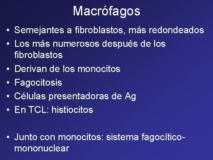 Macrófagos • Semejantes a fibroblastos, más redondeados • Los más numerosos después de los Macrófagos • Semejantes a fibroblastos, más redondeados • Los más numerosos después de los