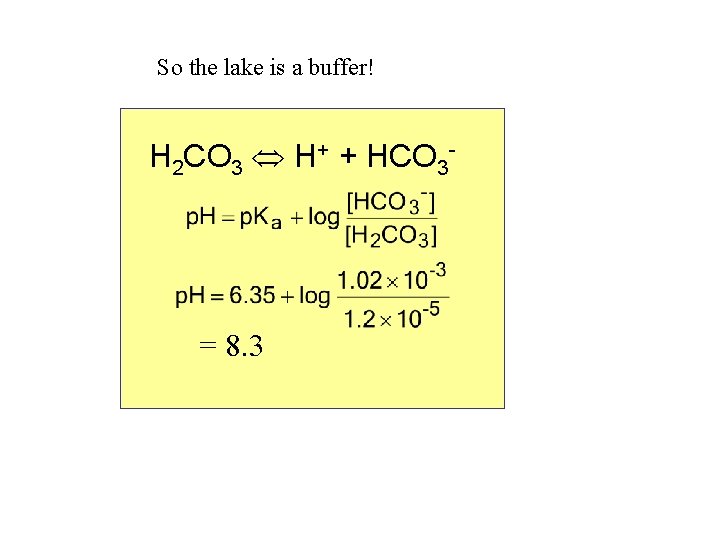 So the lake is a buffer! H 2 CO 3 H+ + HCO 3