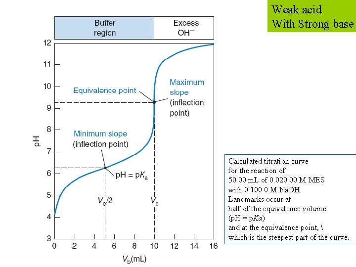 Weak acid With Strong base Calculated titration curve for the reaction of 50. 00