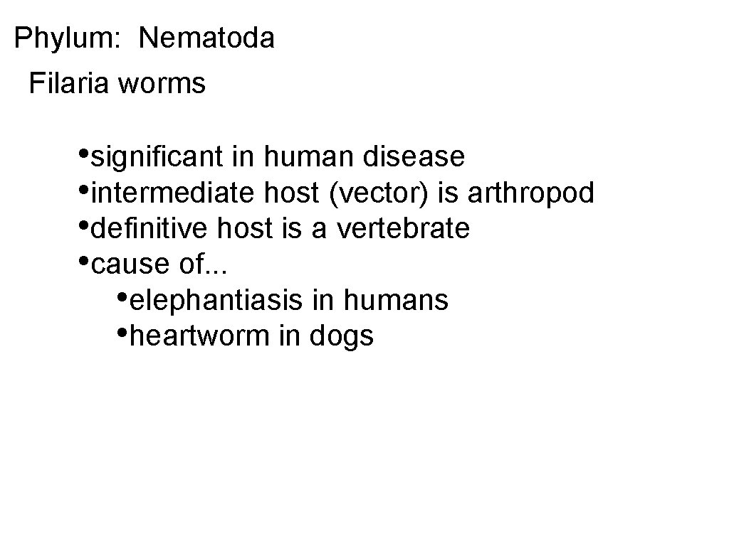 Phylum: Nematoda Filaria worms • significant in human disease • intermediate host (vector) is