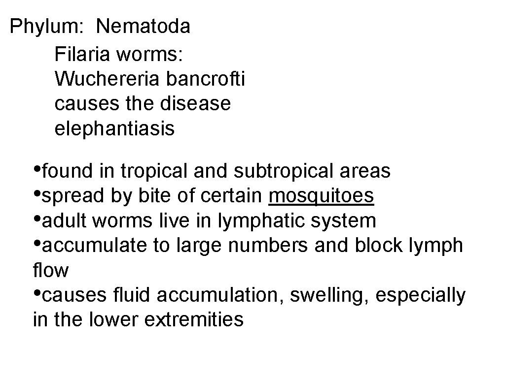 Phylum: Nematoda Filaria worms: Wuchereria bancrofti causes the disease elephantiasis • found in tropical