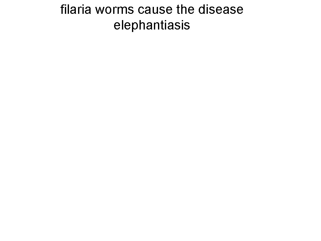 filaria worms cause the disease elephantiasis 