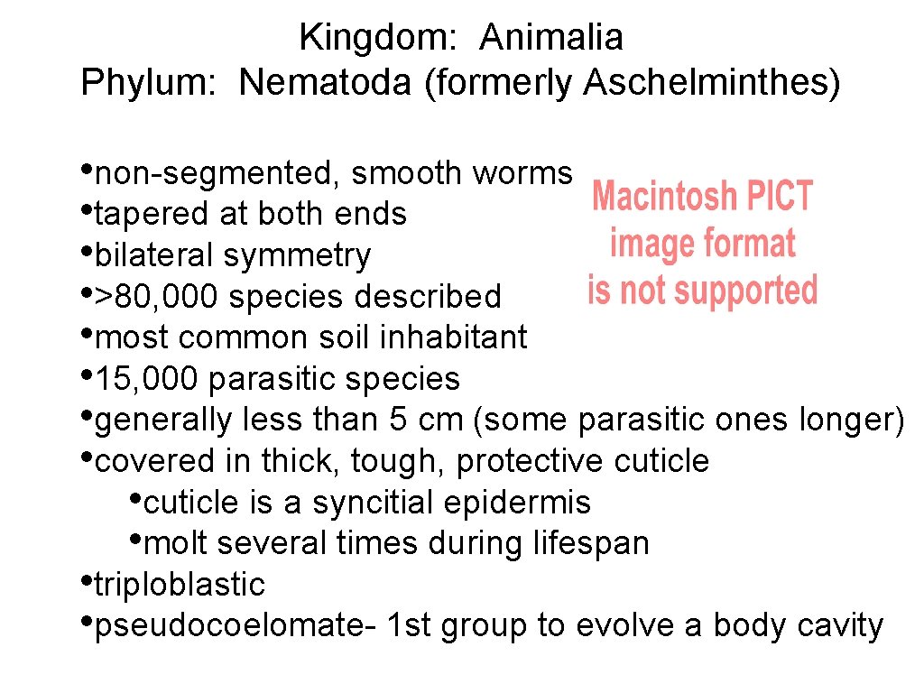 Kingdom: Animalia Phylum: Nematoda (formerly Aschelminthes) • non-segmented, smooth worms • tapered at both