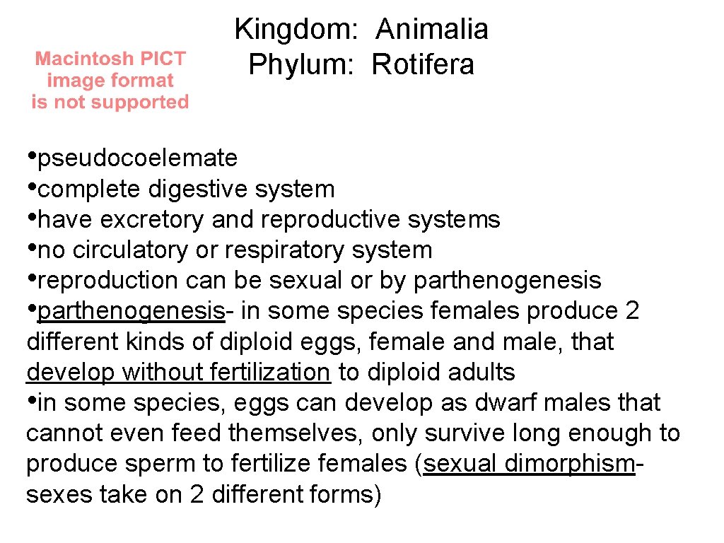 Kingdom: Animalia Phylum: Rotifera • pseudocoelemate • complete digestive system • have excretory and