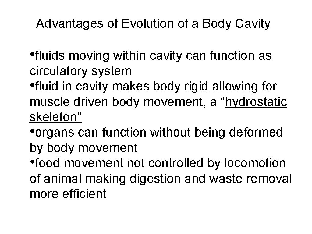 Advantages of Evolution of a Body Cavity • fluids moving within cavity can function