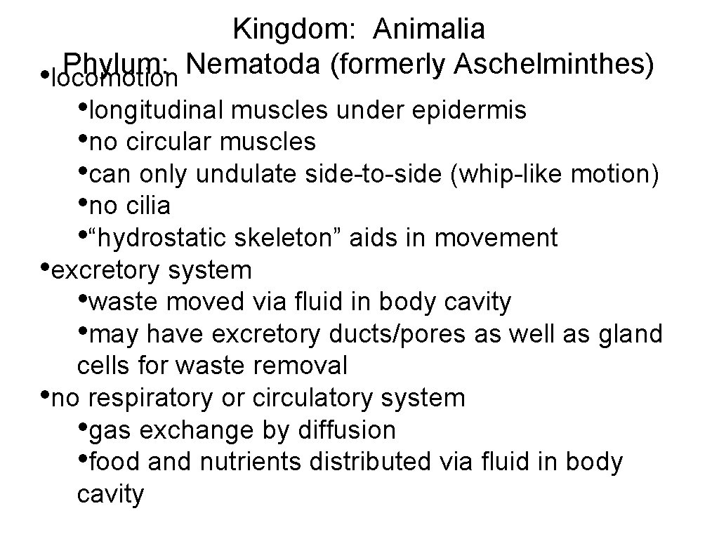 Kingdom: Animalia Phylum: Nematoda (formerly Aschelminthes) • locomotion • longitudinal muscles under epidermis •