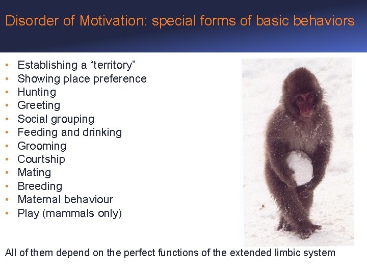 Disorder of Motivation: special forms of basic behaviors • • • Establishing a “territory”