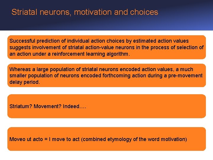 Striatal neurons, motivation and choices Successful prediction of individual action choices by estimated action