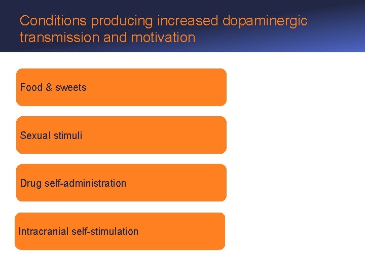 Conditions producing increased dopaminergic transmission and motivation Food & sweets Sexual stimuli Drug self-administration