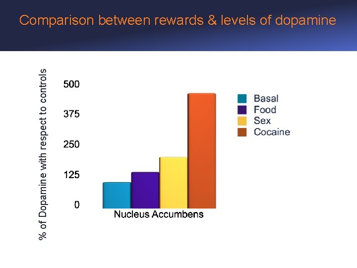 % of Dopamine with respect to controls Comparison between rewards & levels of dopamine