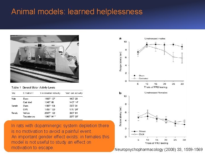 Animal models: learned helplessness In rats with dopaminergic system depletion there is no motivation