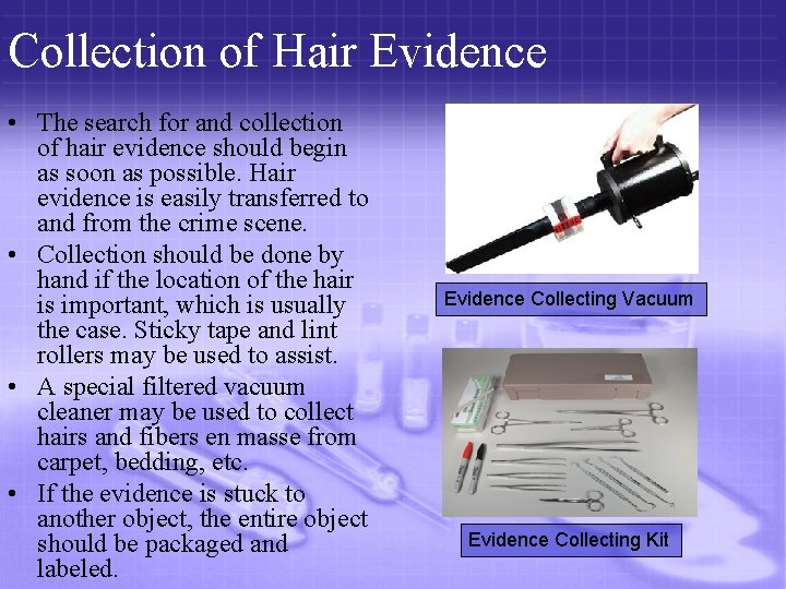 Collection of Hair Evidence • The search for and collection of hair evidence should
