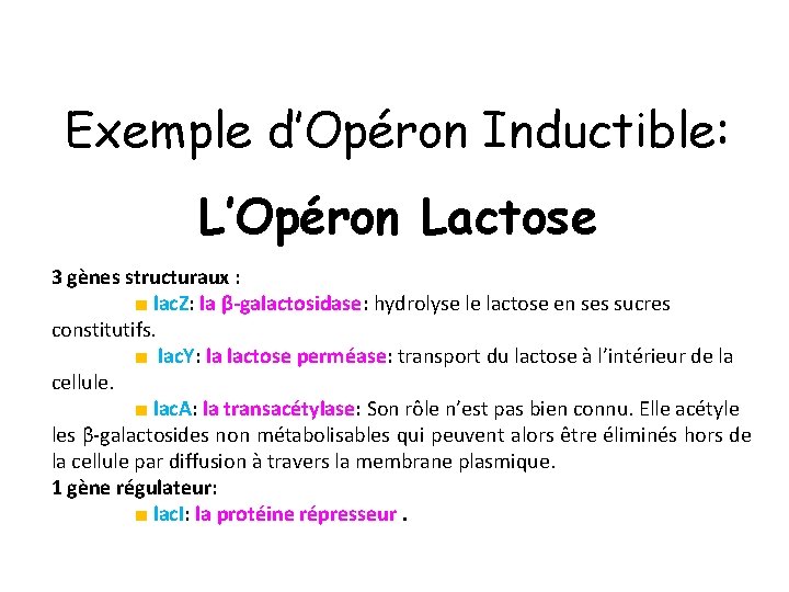 Exemple d’Opéron Inductible: L’Opéron Lactose 3 gènes structuraux : ■ lac. Z: la β-galactosidase: