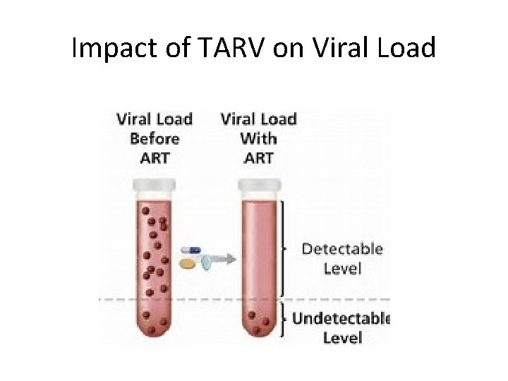 Impact of TARV on Viral Load 