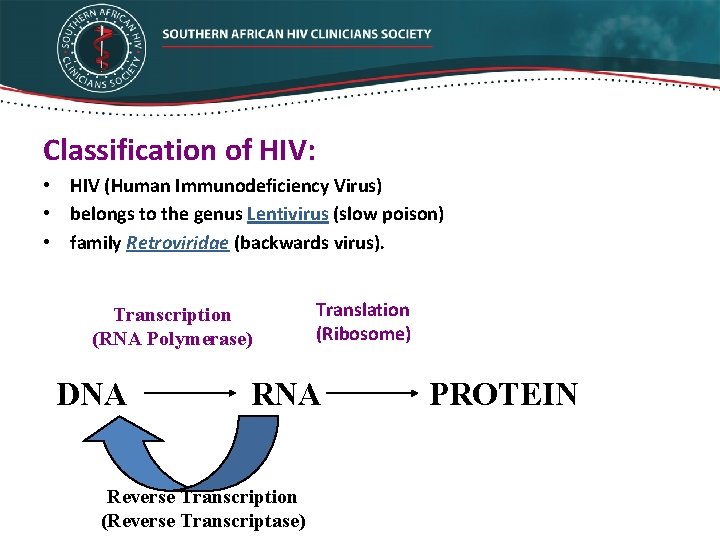 Classification of HIV: • HIV (Human Immunodeficiency Virus) • belongs to the genus Lentivirus