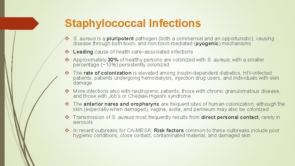 Staphylococcal Infections S. aureus is a pluripotent pathogen (both a commensal and an opportunistic),