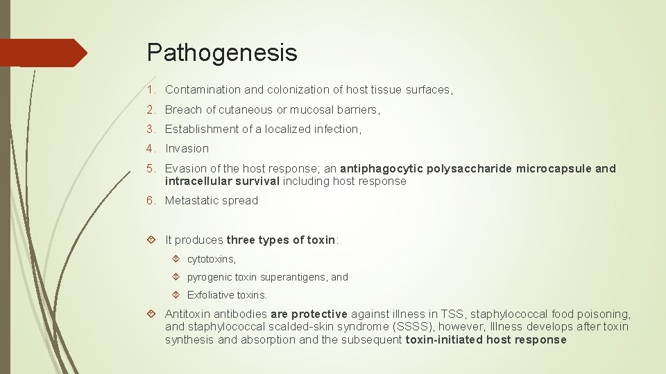 Pathogenesis 1. Contamination and colonization of host tissue surfaces, 2. Breach of cutaneous or