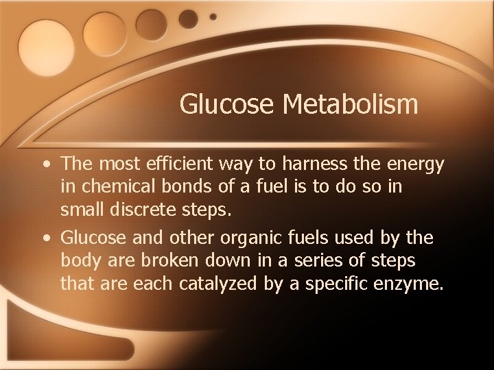 Glucose Metabolism • The most efficient way to harness the energy in chemical bonds