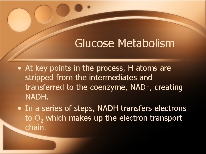 Glucose Metabolism • At key points in the process, H atoms are stripped from