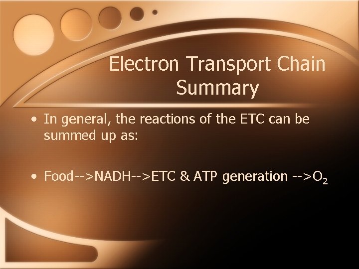 Electron Transport Chain Summary • In general, the reactions of the ETC can be