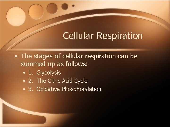 Cellular Respiration • The stages of cellular respiration can be summed up as follows: