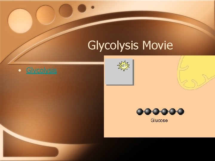 Glycolysis Movie • Glycolysis 