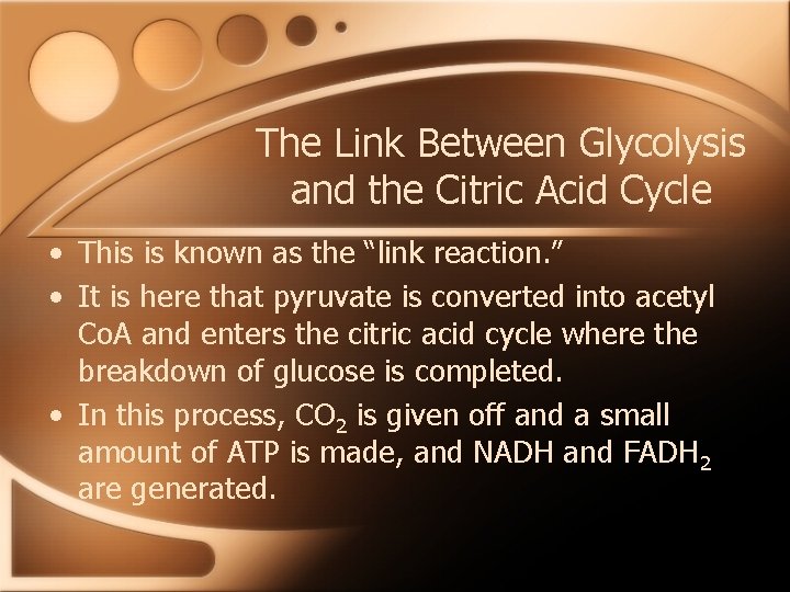 The Link Between Glycolysis and the Citric Acid Cycle • This is known as