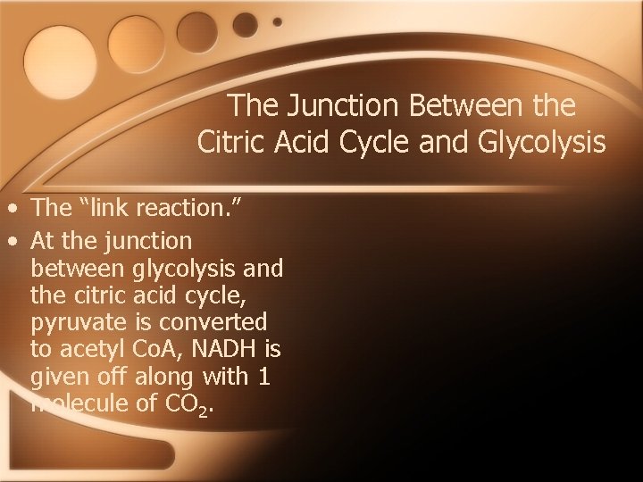 The Junction Between the Citric Acid Cycle and Glycolysis • The “link reaction. ”