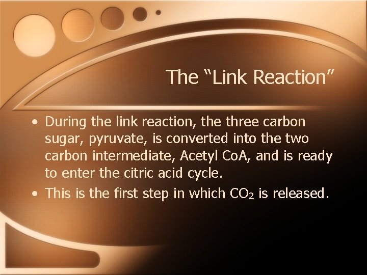 The “Link Reaction” • During the link reaction, the three carbon sugar, pyruvate, is