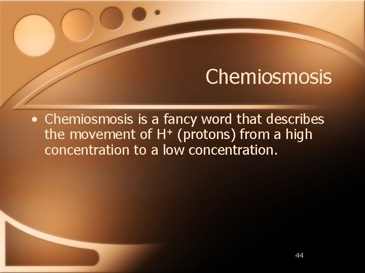 Chemiosmosis • Chemiosmosis is a fancy word that describes the movement of H+ (protons)