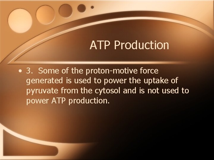 ATP Production • 3. Some of the proton-motive force generated is used to power