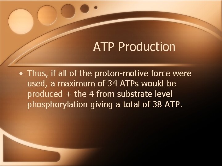 ATP Production • Thus, if all of the proton-motive force were used, a maximum