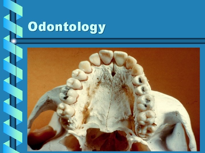 Odontology 