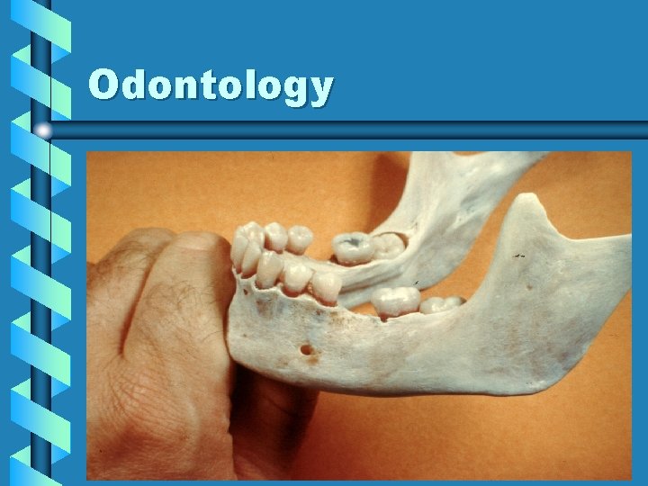 Odontology 