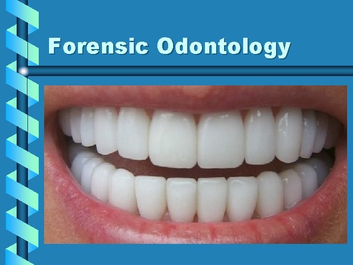 Forensic Odontology 